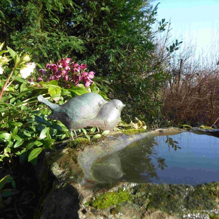 Vogelbecken Vogelbecken